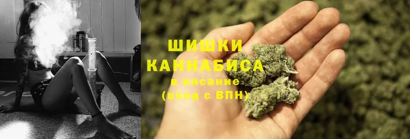 Шишки марихуана OG Kush  hydra tor  Алейск  купить наркотики цена 